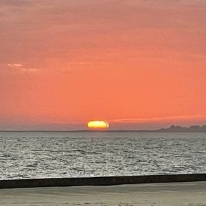 Meet your Posher, Jayne